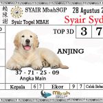 Syair SDY