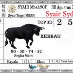 Syair SDY